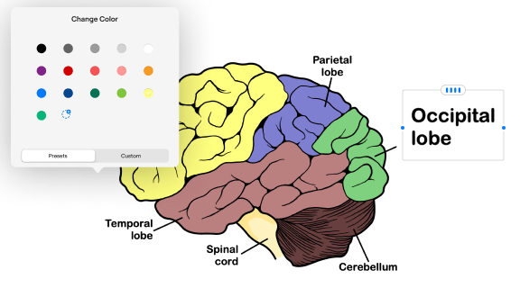 Editable Study Stickers
