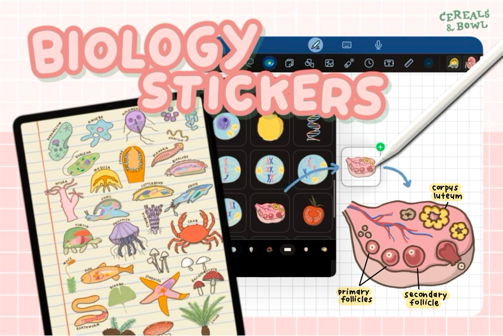 Biology Stickers set 3 Biology Stickers set 3