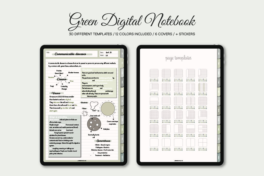 Green 12-Tab Notebook