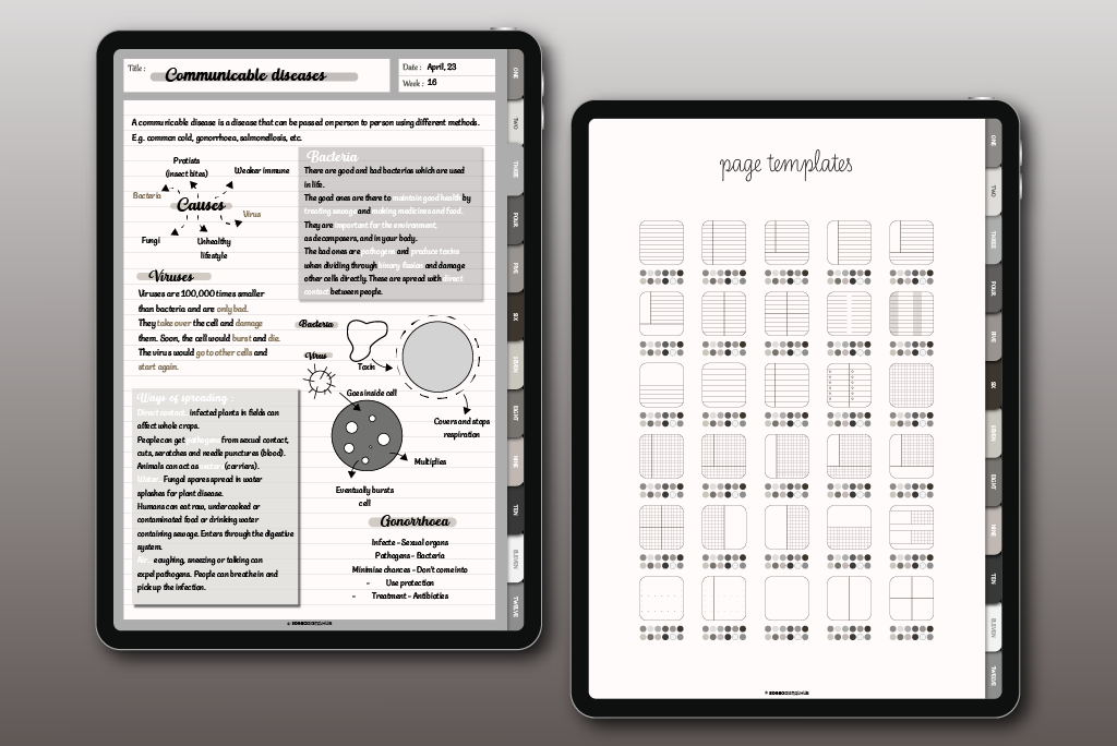 Notebook monocromatico a 12 categorie