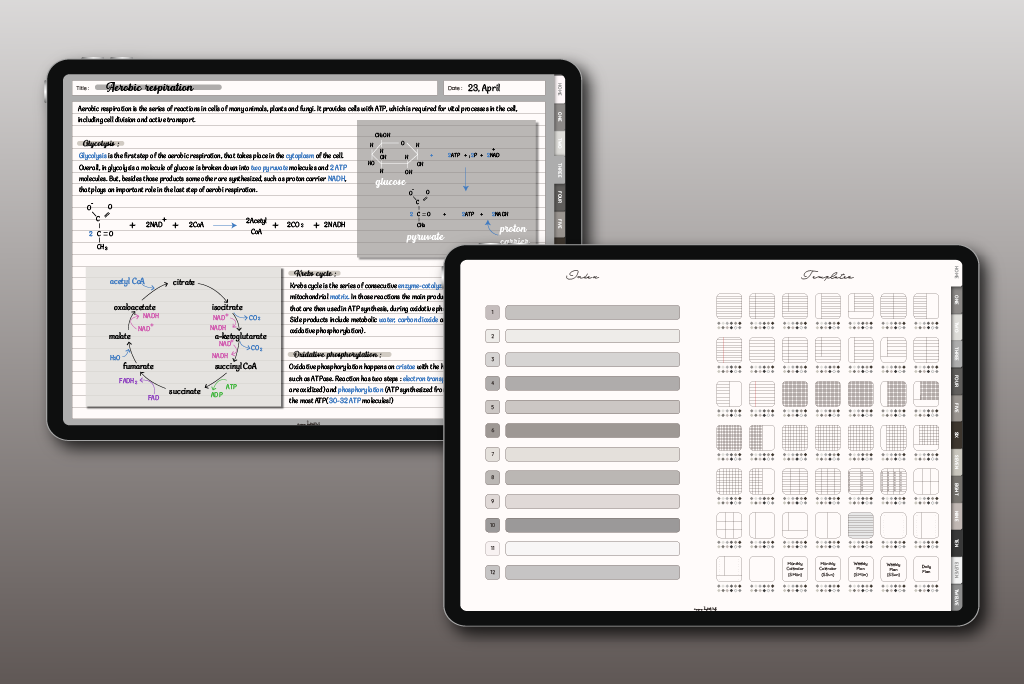 12-Tab-Große-Träume-Notizbuch (Grau)